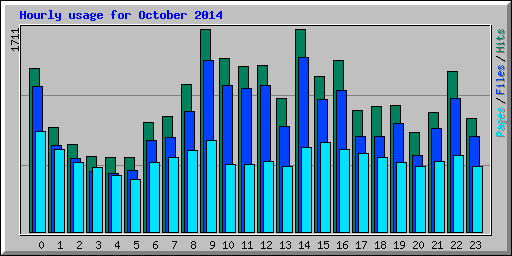 Hourly usage for October 2014