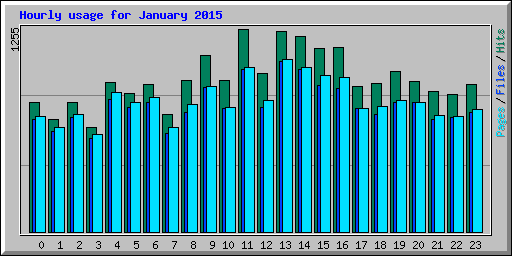 Hourly usage for January 2015