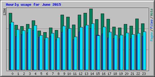 Hourly usage for June 2015